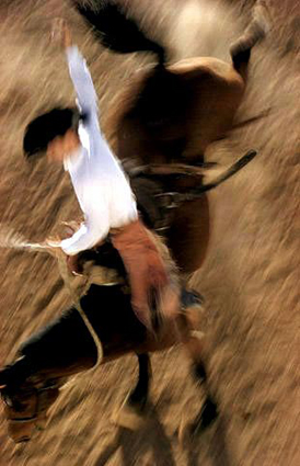 Đua ngựa, ảnh chụp năm 1957 của tác giả Ernst Haas.