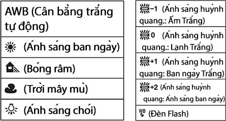 Cân bằng trắng NHIẾP ẢNH 365 (3)